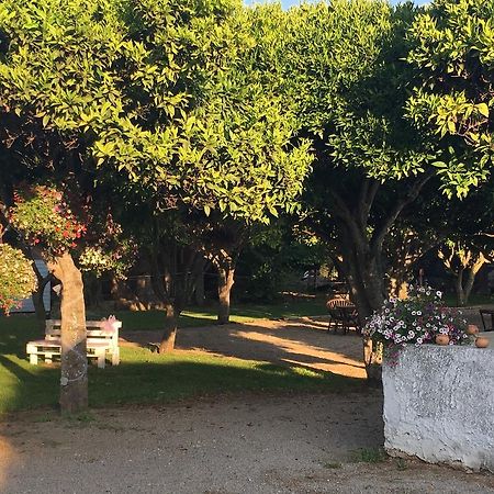 アルゲーロ La Purissima Bed & Breakfast エクステリア 写真